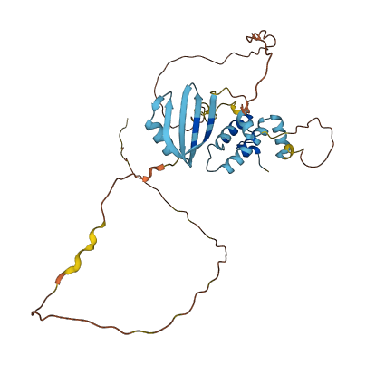 DNAJB6 3D structure