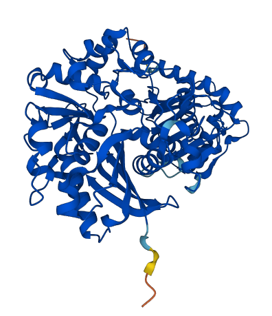 XYLB 3D structure