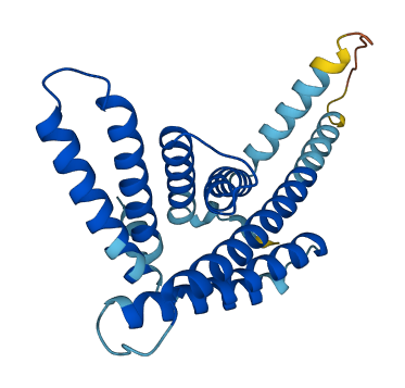 PEX11A 3D structure