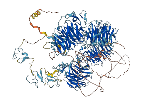 LRP5 3D structure