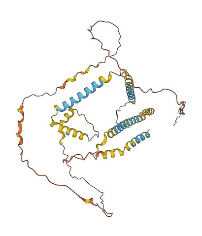 NPIPB7 3D structure
