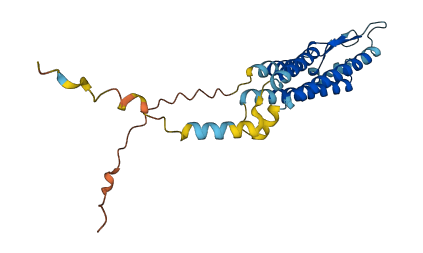 TMEM127 3D structure