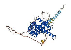 COQ9 3D structure