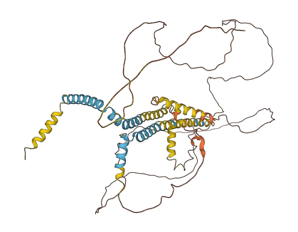 RTN2 3D structure