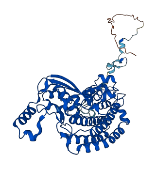 NDUFS2 3D structure