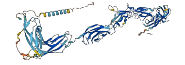 CDH16 3D structure