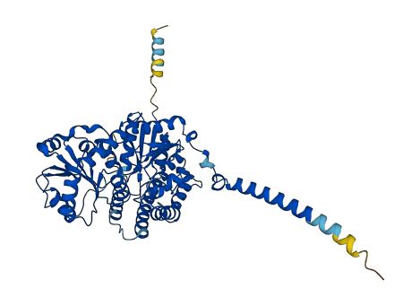 UGT2B11 3D structure