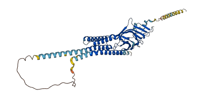 GLRA3 3D structure