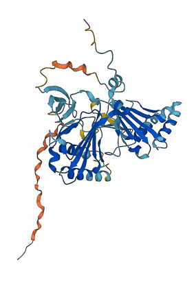 ZPR1 3D structure