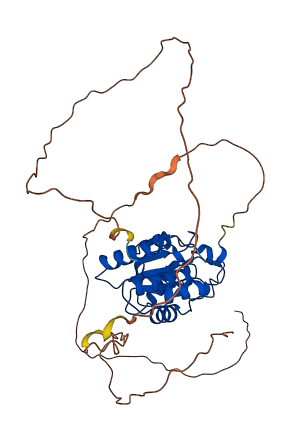 DUSP11 3D structure