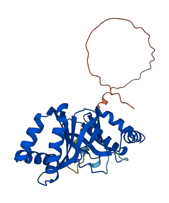 NIPSNAP2 3D structure