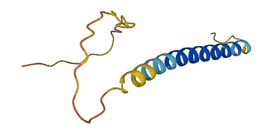 SNN 3D structure