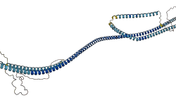HMMR 3D structure