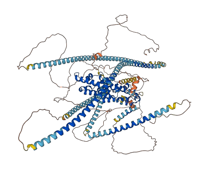 PPFIA4 3D structure