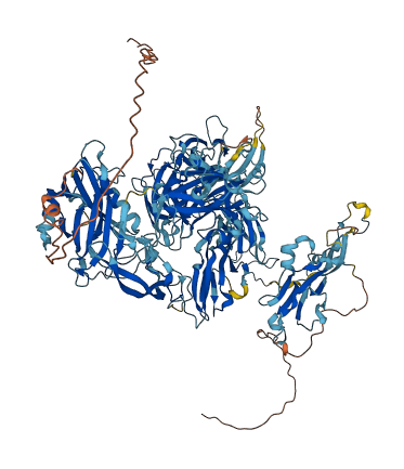 CILP 3D structure