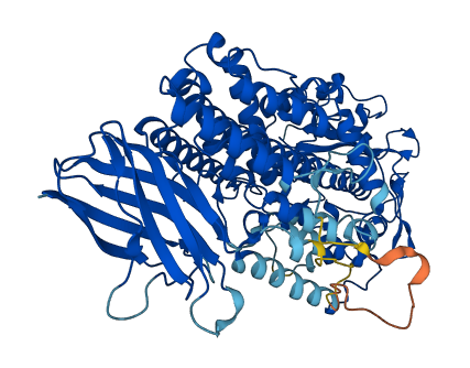 ALOX12B 3D structure
