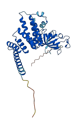 FKBP6 3D structure