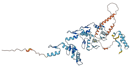 ZNF253 3D structure
