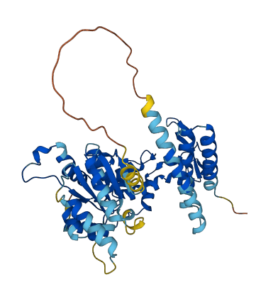 VPS4B 3D structure