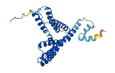 MPDU1 3D structure