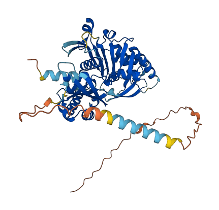 ENTPD6 3D structure