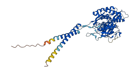 ENTPD3 3D structure