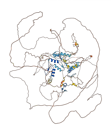 ZNF217 3D structure