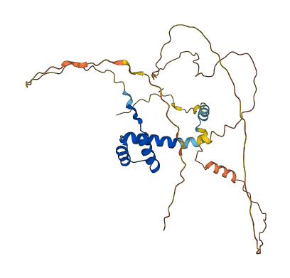 PITX3 3D structure