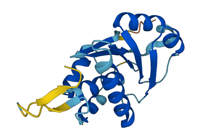PTP4A3 3D structure
