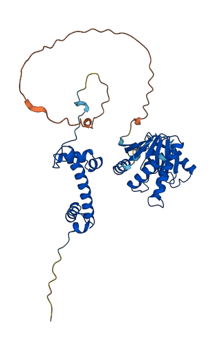 MACROH2A1 3D structure