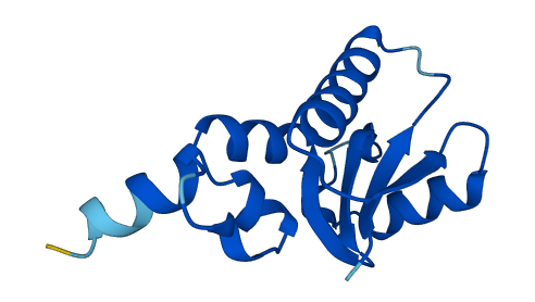 SH3BGRL 3D structure