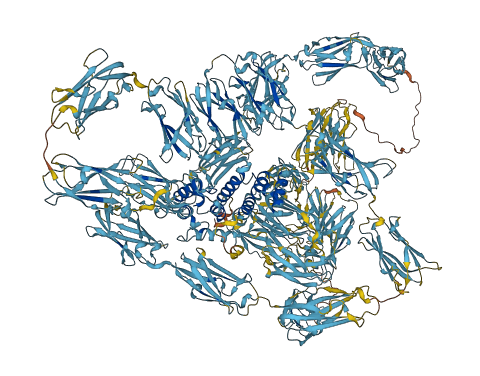 FLNB 3D structure