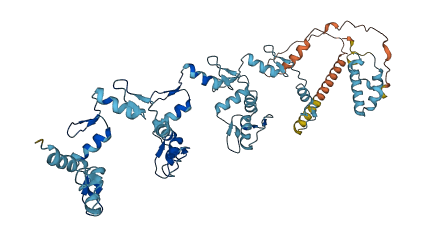 ZNF737 3D structure