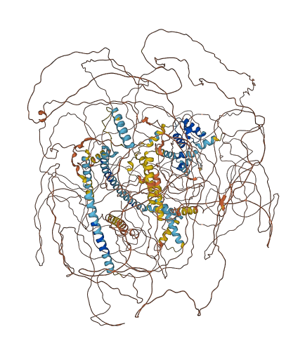 NCOR1 3D structure