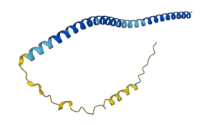 VAMP4 3D structure