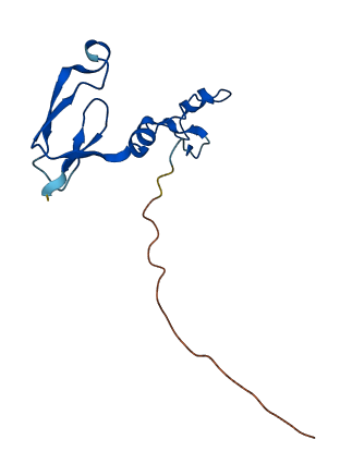 NDUFS6 3D structure