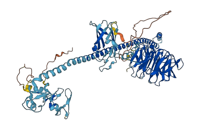 TRIM3 3D structure