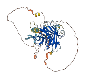 TULP3 3D structure
