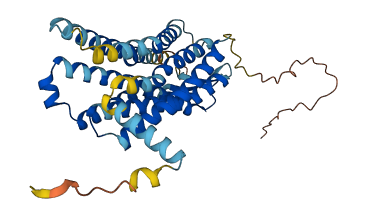GPR32 3D structure