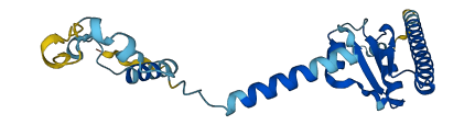 SPAG7 3D structure