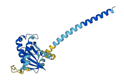 SEC22B 3D structure