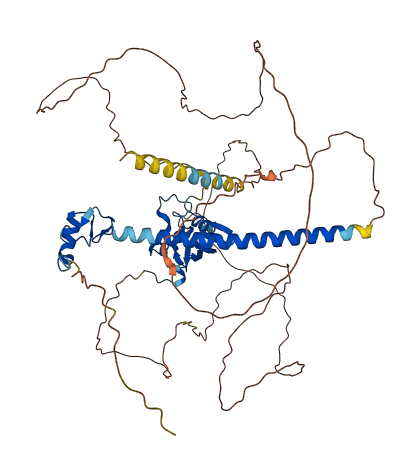 DEAF1 3D structure