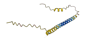 HYPM 3D structure