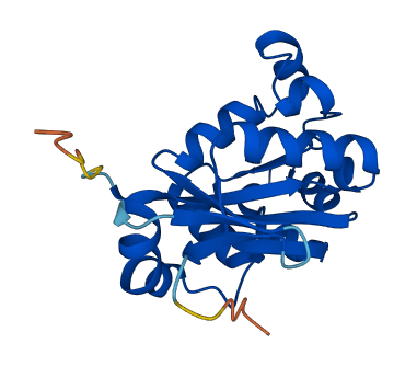 NME6 3D structure