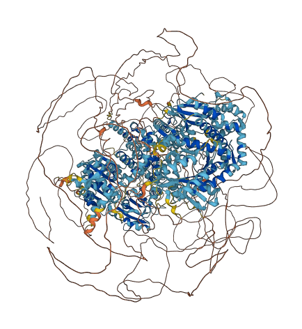POLQ 3D structure