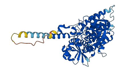 CDC45 3D structure
