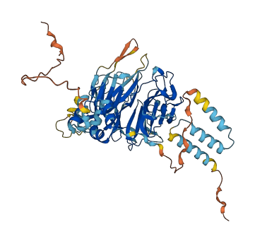 FBXO24 3D structure