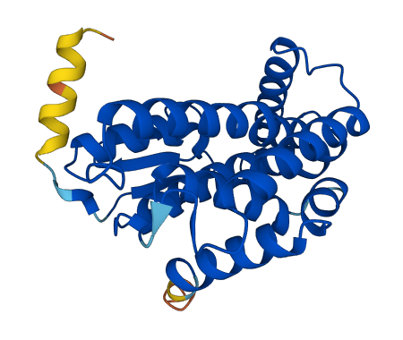 MTX2 3D structure