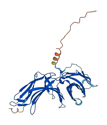 VPS26A 3D structure