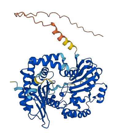 PMPCB 3D structure